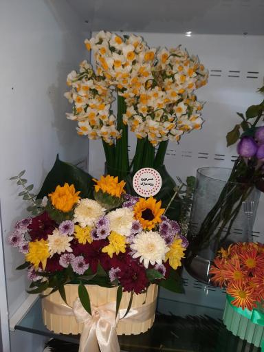 عکس گلکده آریانا 