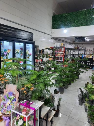 عکس گلکده آریانا 