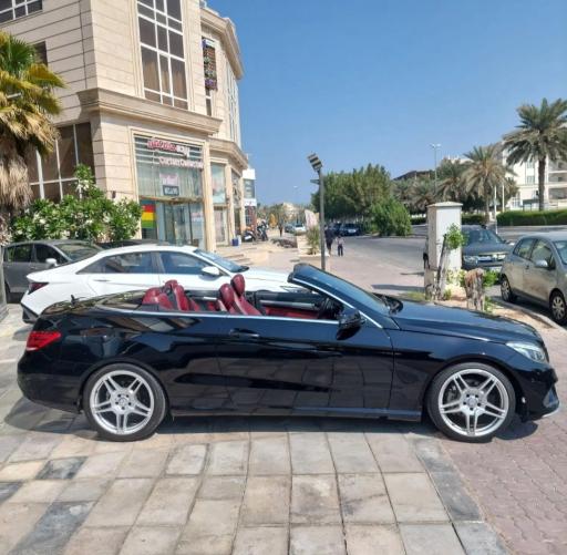 عکس اتو صاحب کیش