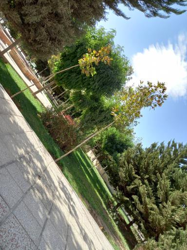 عکس بوستان رز