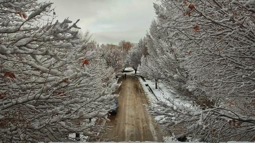 عکس دانشکده علوم پایه