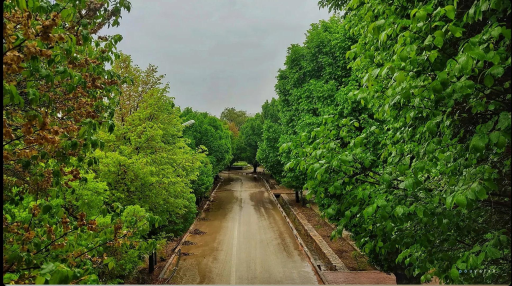 عکس دانشکده علوم پایه