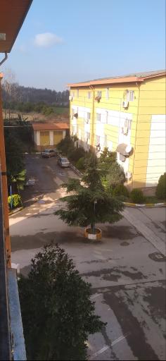 عکس شهرک کاج آمل