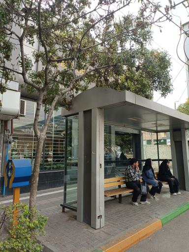 عکس  فلسطین 12