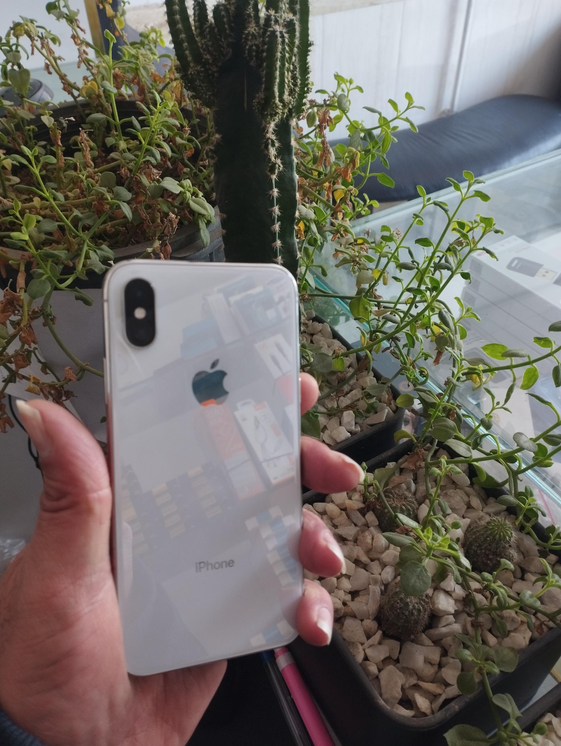 عکس موبایل آنا 