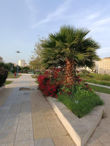 عکس پارک رسالت