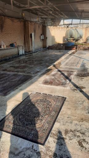 عکس کارخانه قالیشویی پازیر 