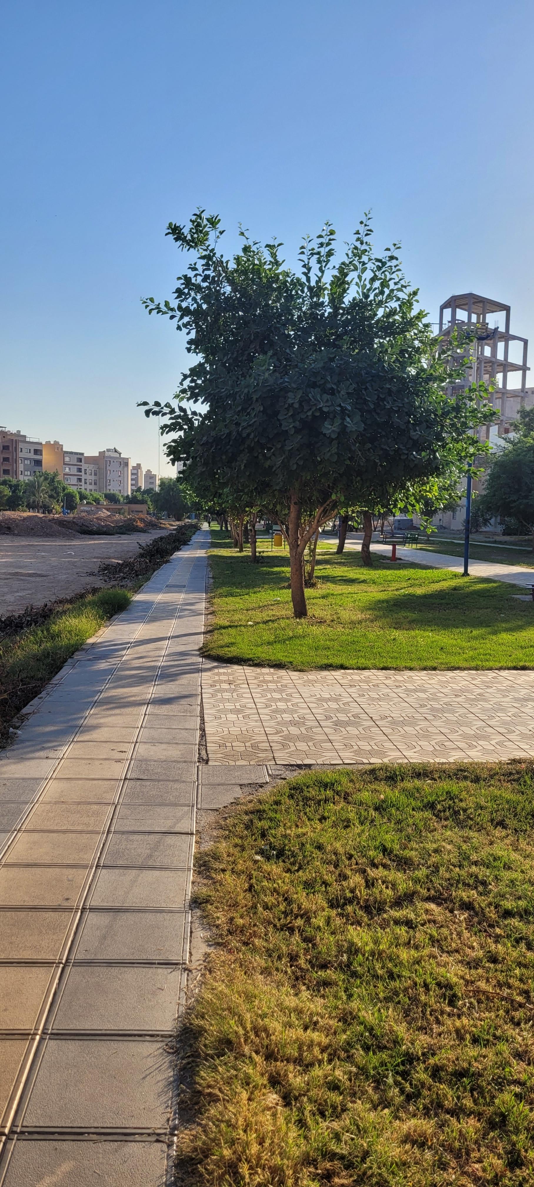 عکس پارک رسالت