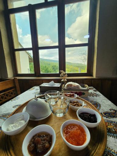 عکس دهکده جنگلی سی تیکا