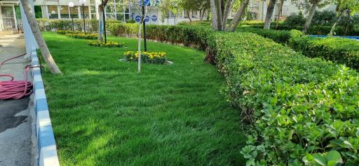 عکس شرکت بستنی  پاک