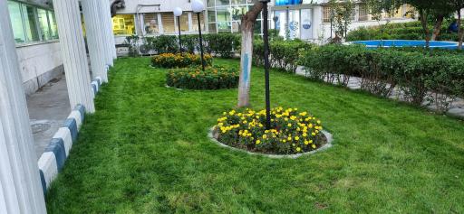 عکس شرکت بستنی  پاک