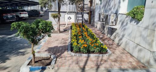 عکس شرکت بستنی  پاک