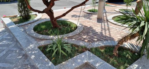 عکس شرکت بستنی  پاک