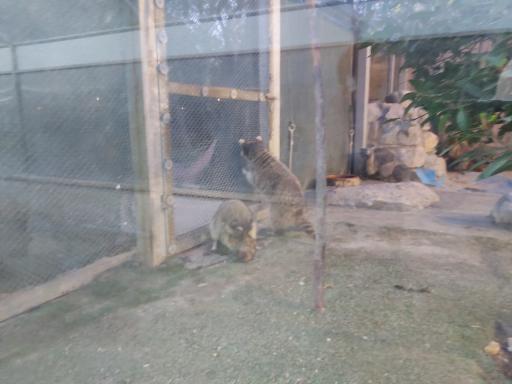 باغ پرندگان کرج