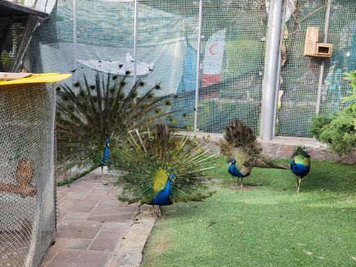 باغ پرندگان کرج