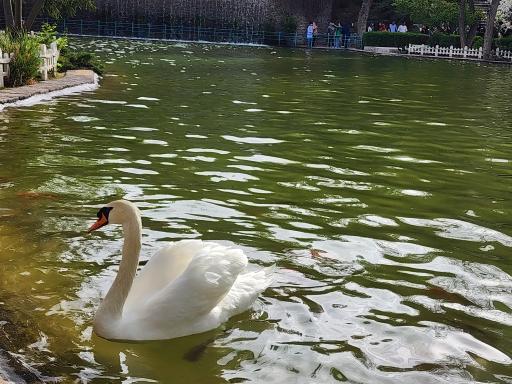 باغ پرندگان کرج