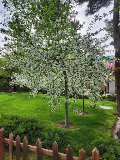 عکس باغ پرندگان کرج