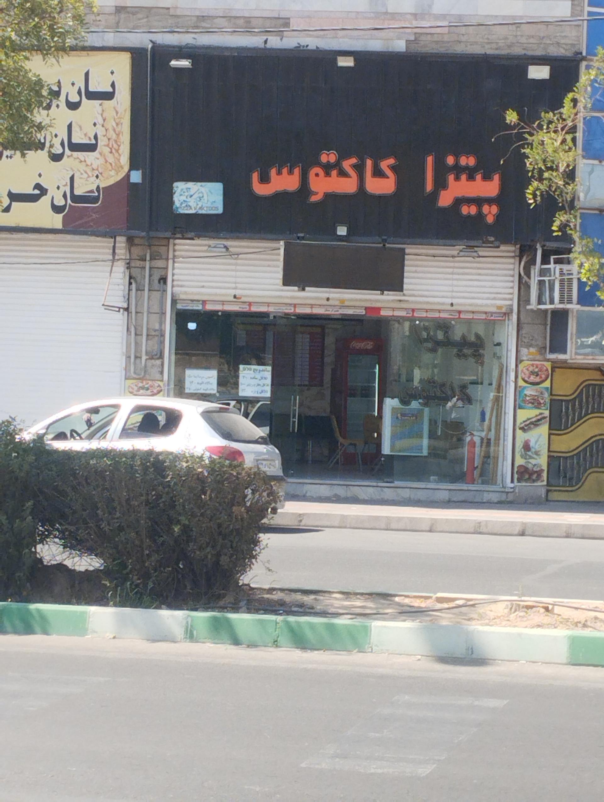 عکس پیتزا کاکتوس