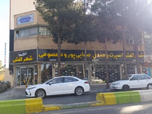 عکس کفش صفایی پور