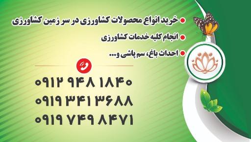 عکس نهال فروشی اسرافیل رحمتی شعبه دو 