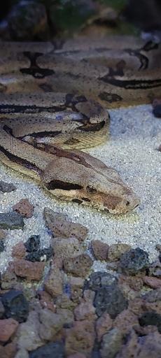 عکس باغ پرندگان کرج