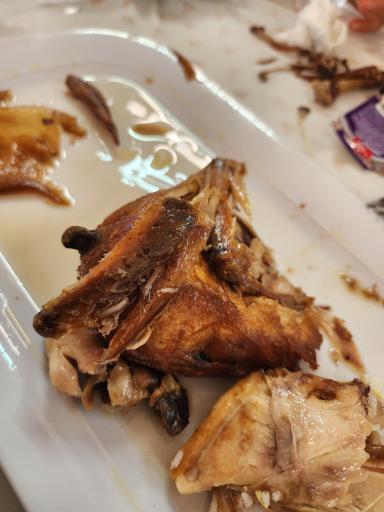 عکس اکبر جوجه مازندران