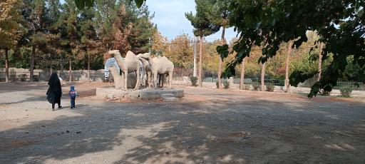 عکس امامزادگان مهدی و جعفر