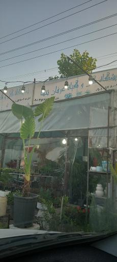 عکس نمایشگاه گل وگیاه عرفان تنها