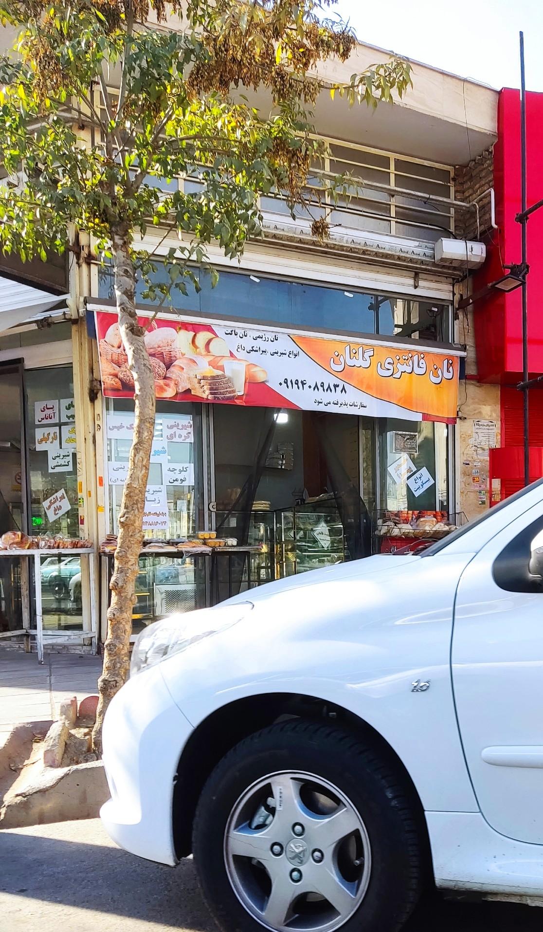 عکس نان فانتزی گلنان