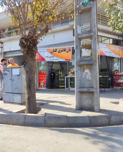 عکس نان فانتزی گلنان