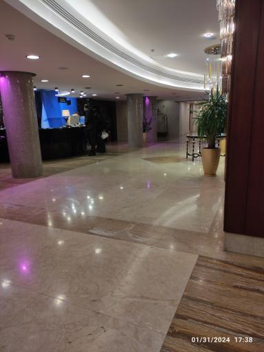 عکس هتل توس