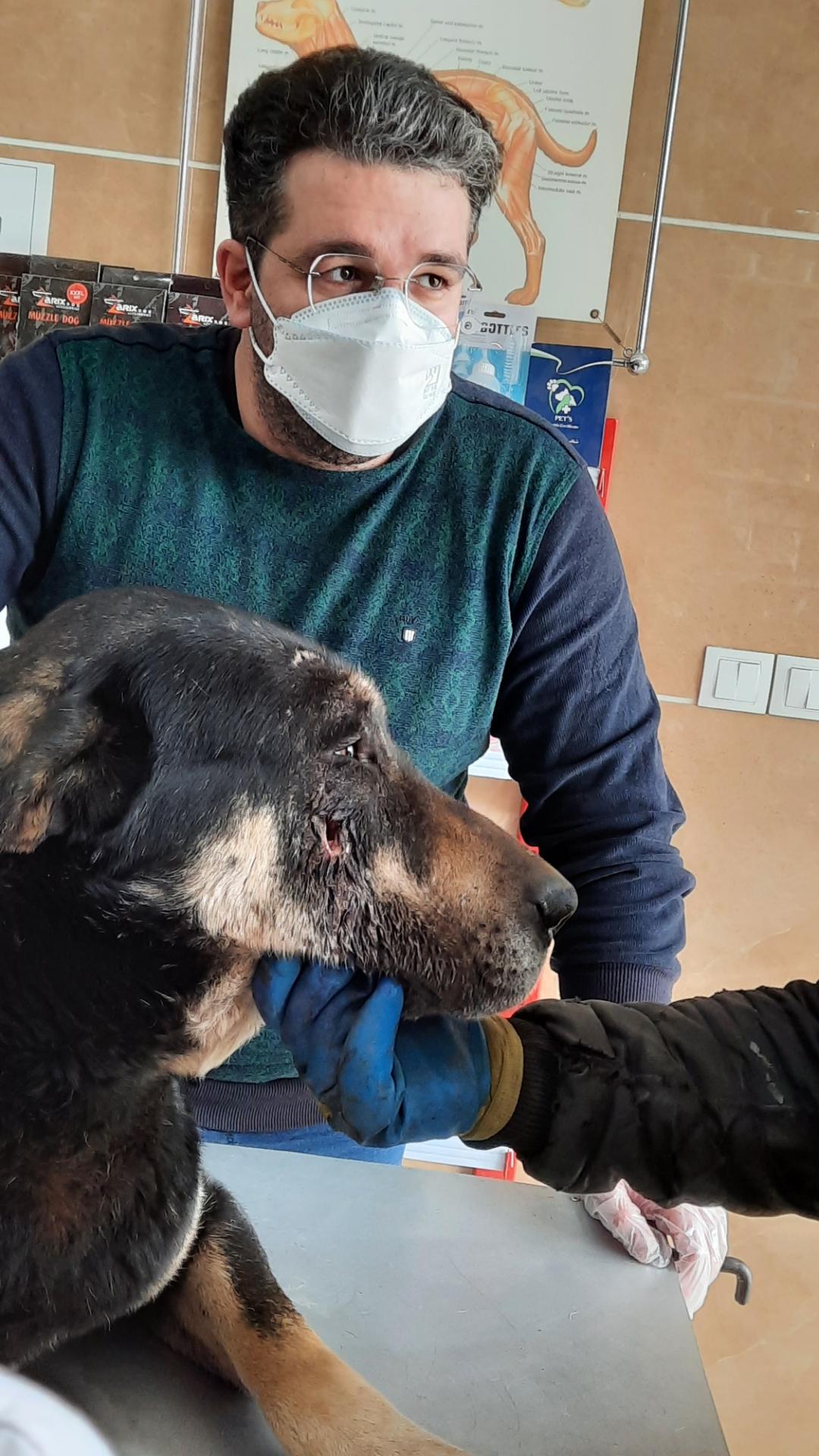 عکس کلینیک دامپزشکی دکتر رضا منظوره 