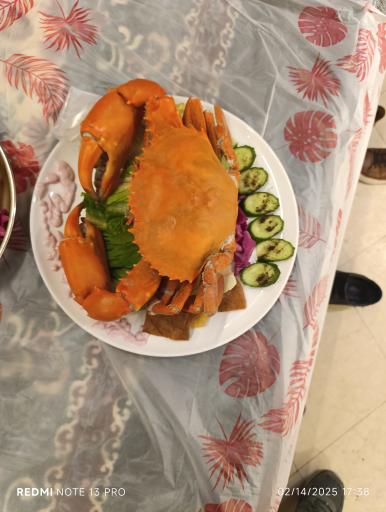 عکس رستوران مطبخ القشمی