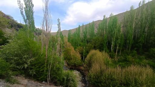 عکس جاغرق