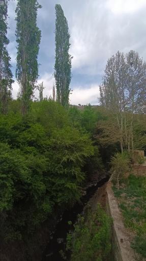 عکس جاغرق