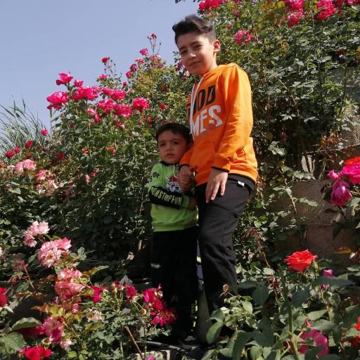 عکس بوستان طبیعت