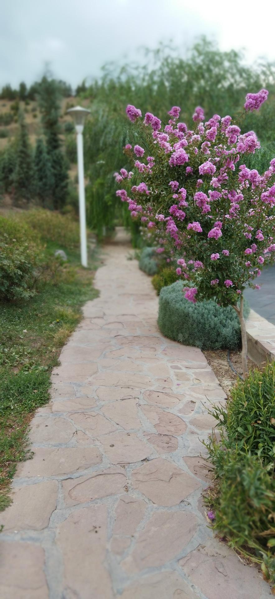 عکس بوستان طبیعت