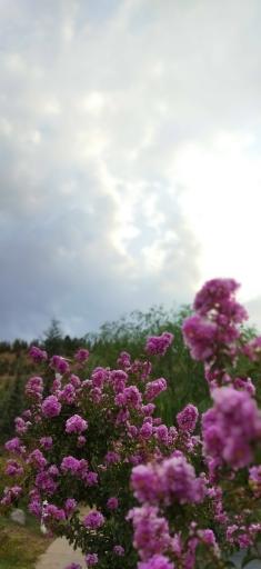 عکس بوستان طبیعت