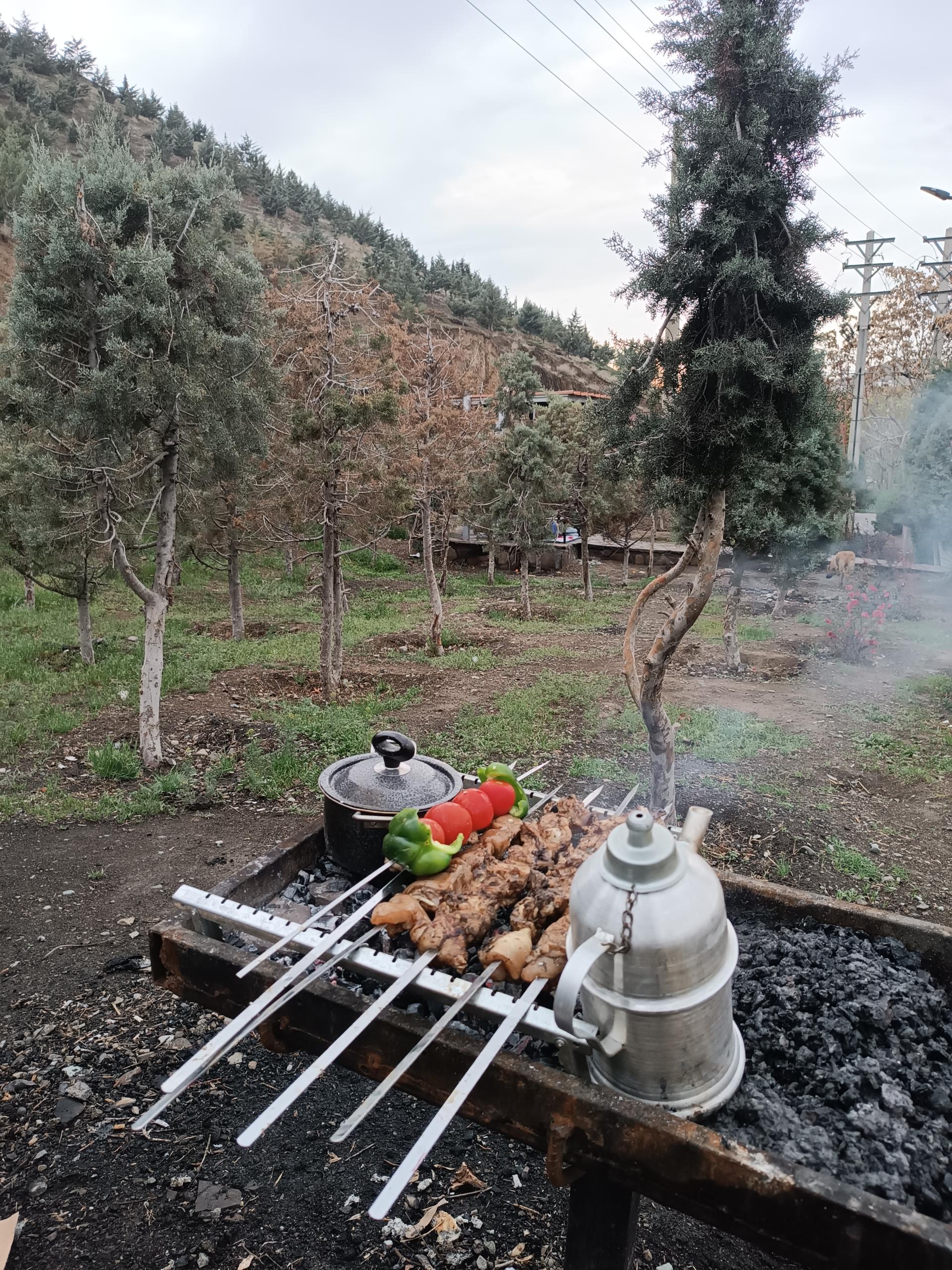 عکس بوستان طبیعت