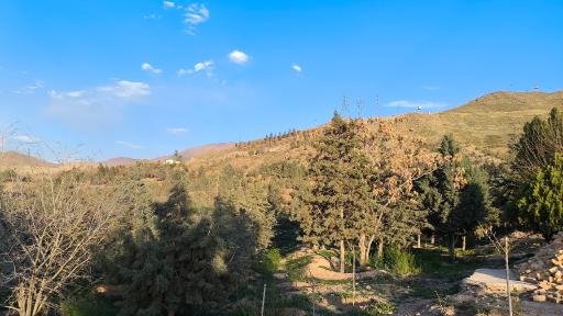 عکس بوستان طبیعت