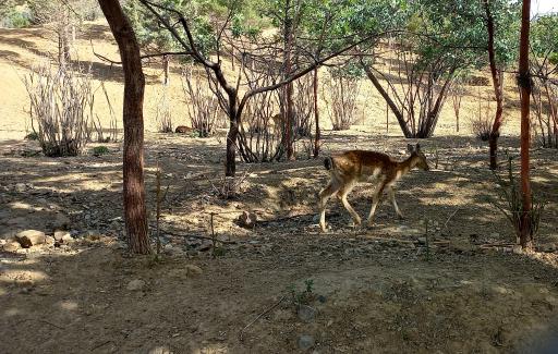 عکس بوستان طبیعت