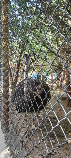 عکس بوستان طبیعت