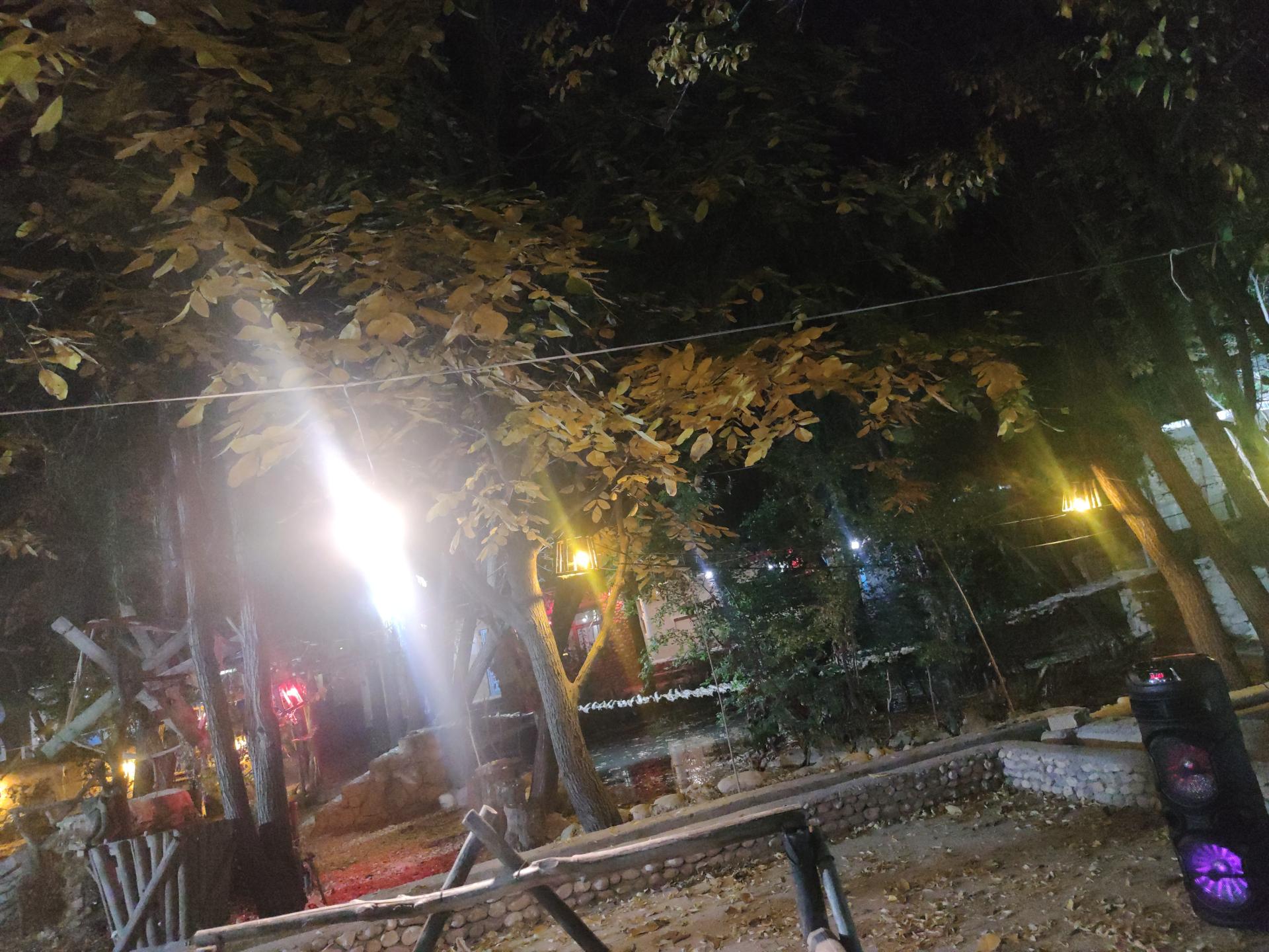 عکس باغ پدربزرگ