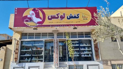 عکس کفش لوکس