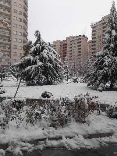 عکس بوستان خانواده