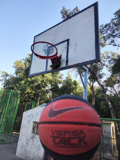 عکس زمین بسکتبال