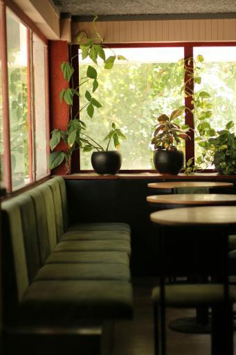 عکس کافی شاپ باما