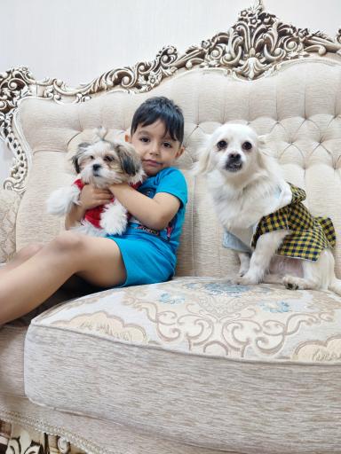 عکس پت شاپ و هتل پانسیون آکیتا