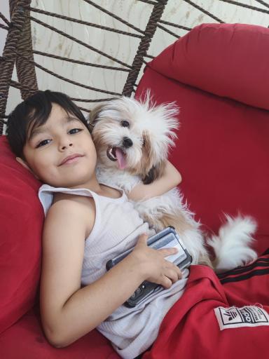 عکس پت شاپ و هتل پانسیون آکیتا