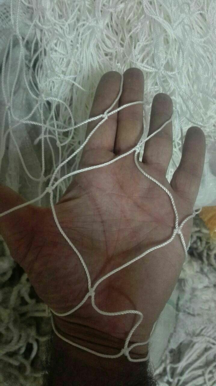 عکس دفتر توربافان نوین